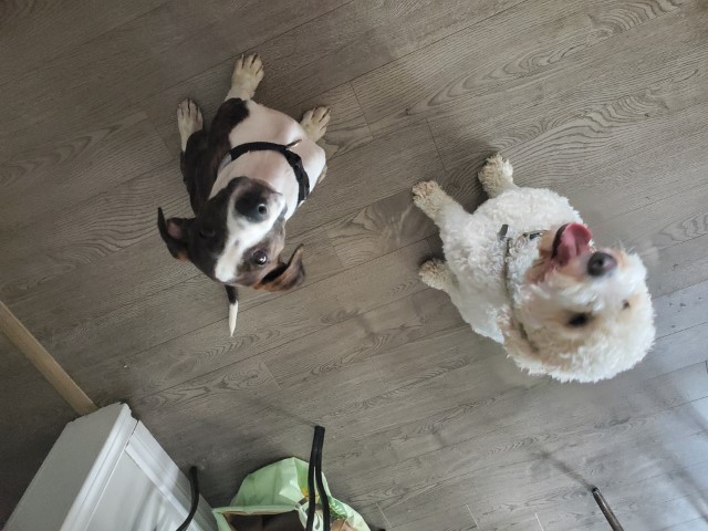 Ragnar & Charlie